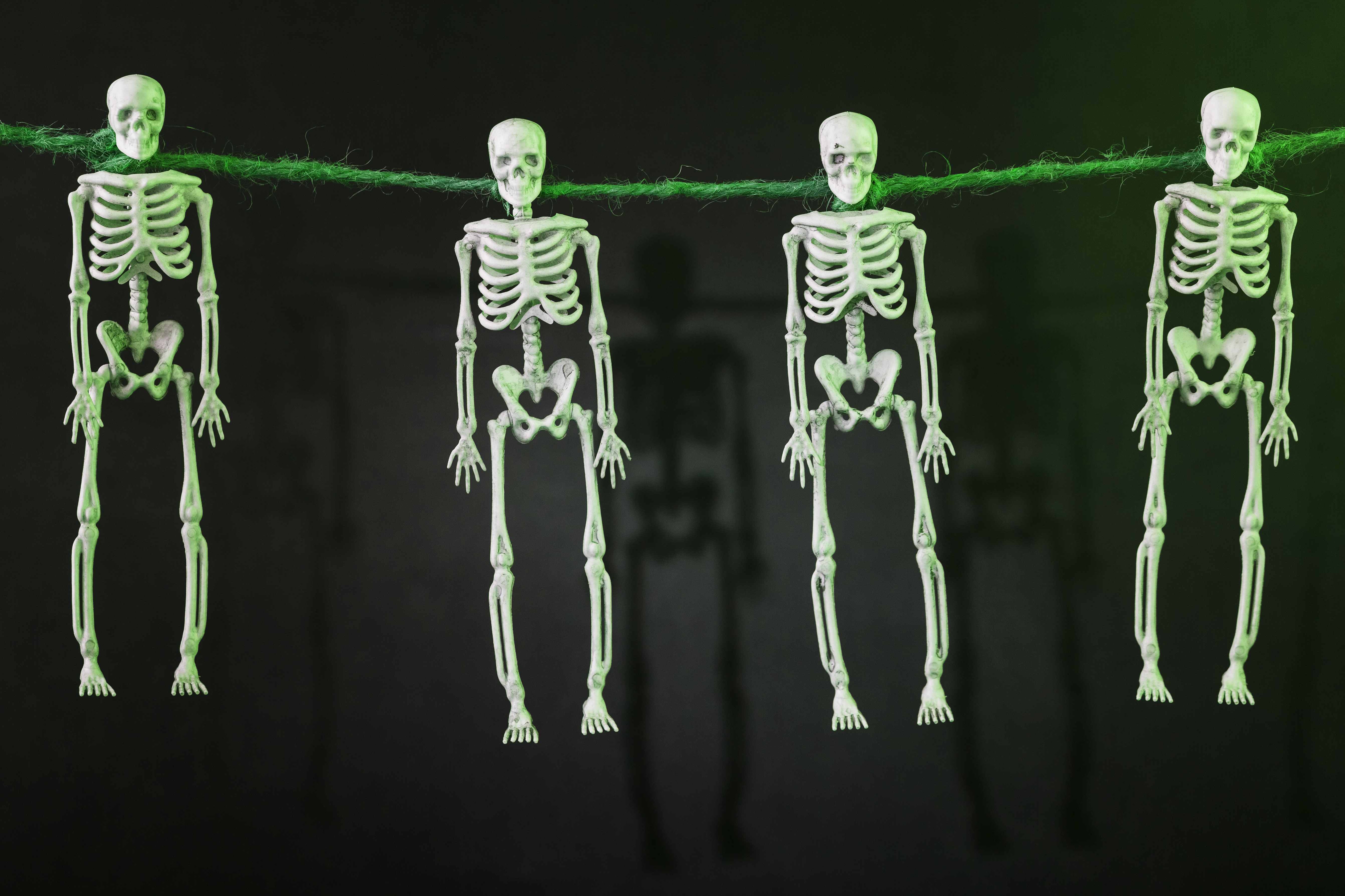 Moho: Скелетная анимация для мультипликации